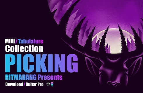 تبلچر و میدی کالکشنPICKING 